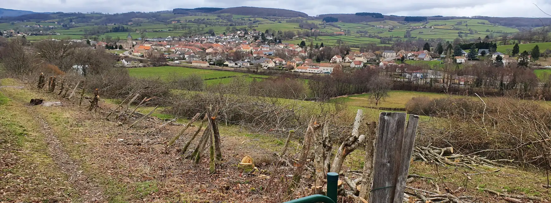 TRAVAUX D ELAGAGE CHEMIN DES VIGNES 